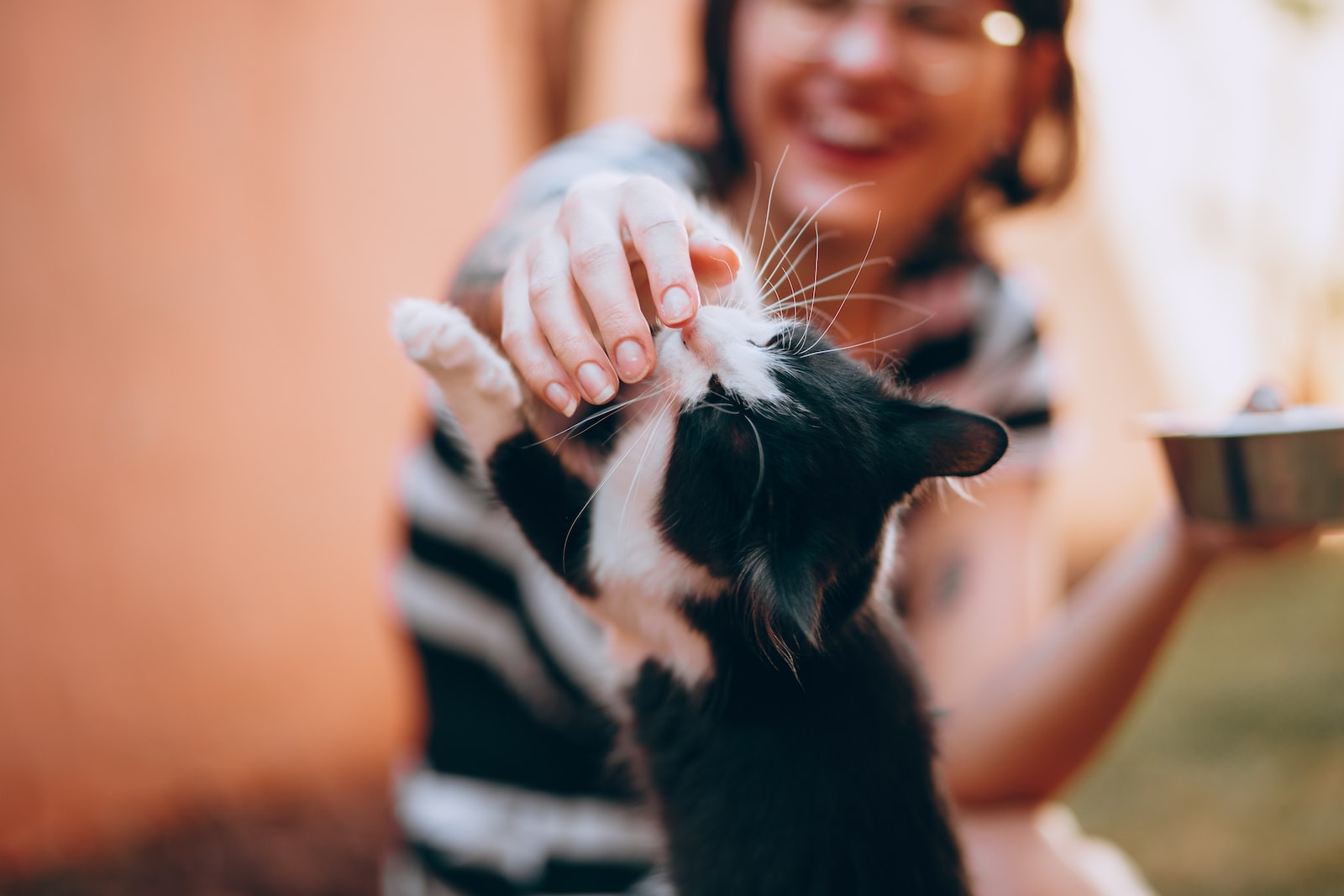 pourquoi les pets sentent mauvais